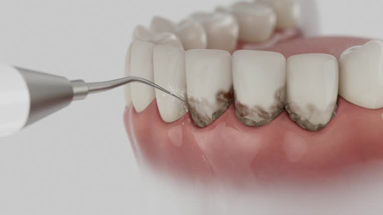 Reliable Dental contractor in Green Valley, MD by Dentist Open Now